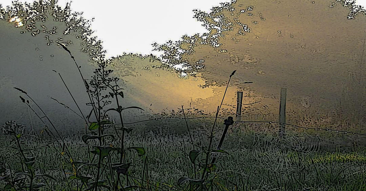 Tableau réalisé avec la technique Morphyl, une peinture acrylique gaufrée contemporaine qui métamorphose la matière en oeuvre vivante